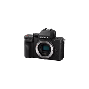 PANASONIC DC-G100