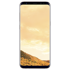 SAMSUNG Galaxy S8 +