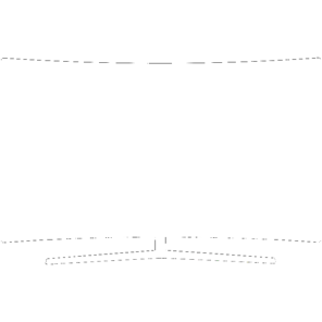 SAMSUNG UE55MU9005